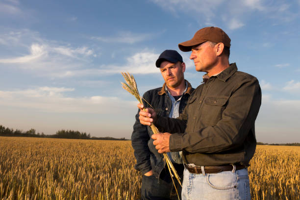 istock Farmers and Wheat 171309484