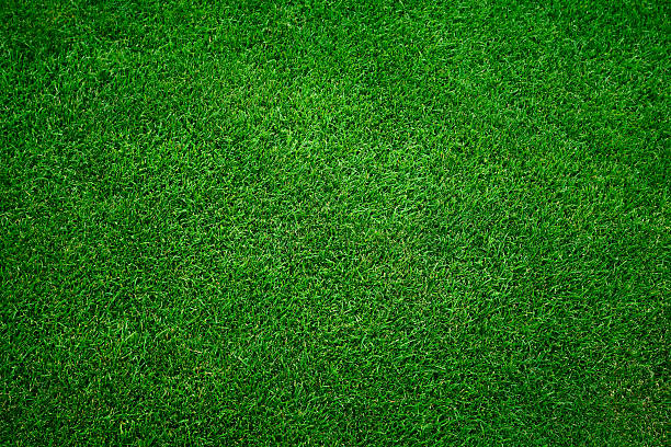 grüne gras hintergrund - golfplatz green stock-fotos und bilder