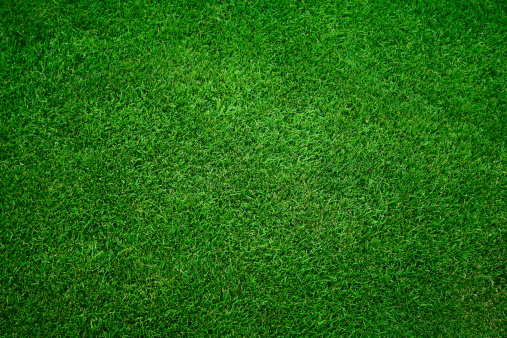 Fondo verde hierba photo