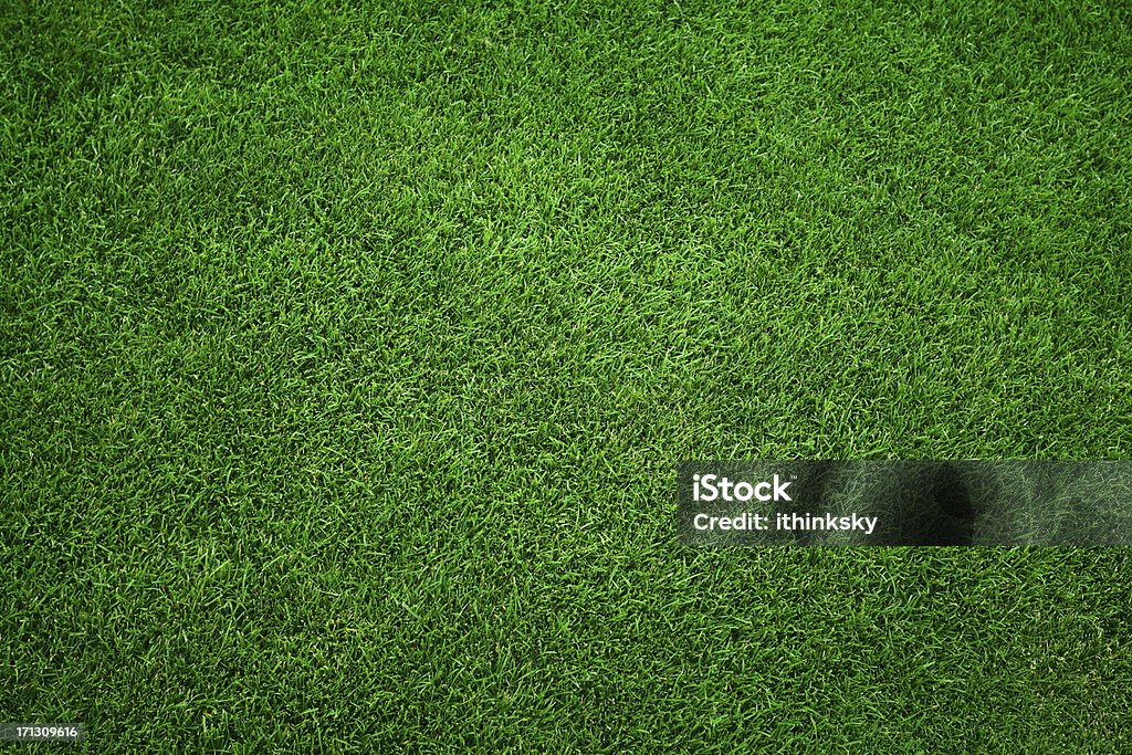 Green grass background Fresh green grass in football pitch Grass Stock Photo