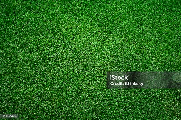 Green Grass Background Stock Photo - Download Image Now - Grass, Backgrounds, Textured