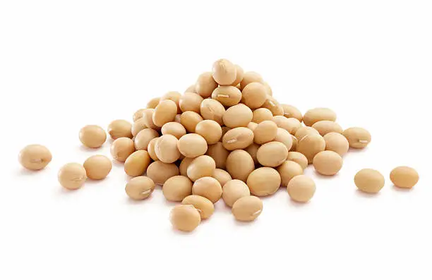 heap of soybeans isolated on white background