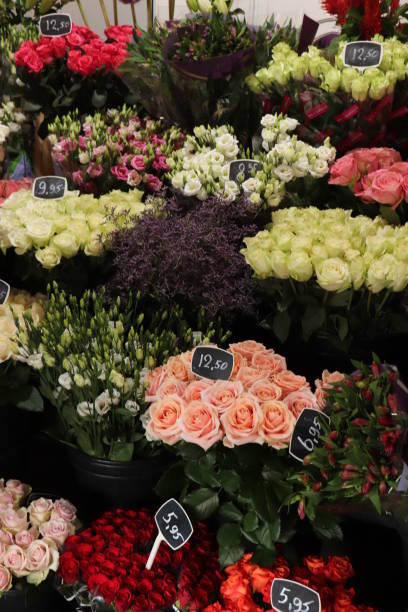 istock Roses in a flower shop 1713099242