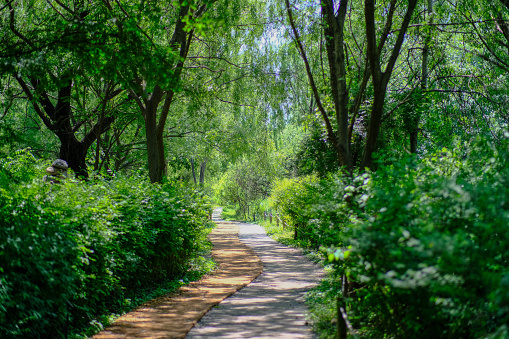 green trail