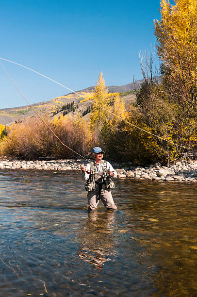 istock Woman Fly-Fishing in the Fall 171311122