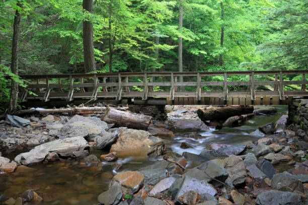 istock Kitchen Creek at Ricketts Glen 171311215