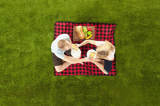 istock Couple at picnic in a park 171311285