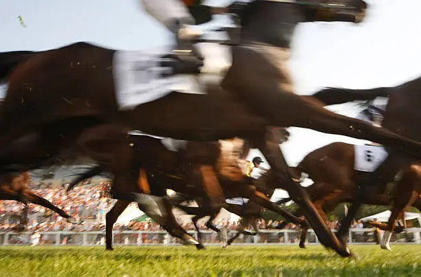 Motion blurred photo of a gallop race. Canon Eos 1D MarkIII.