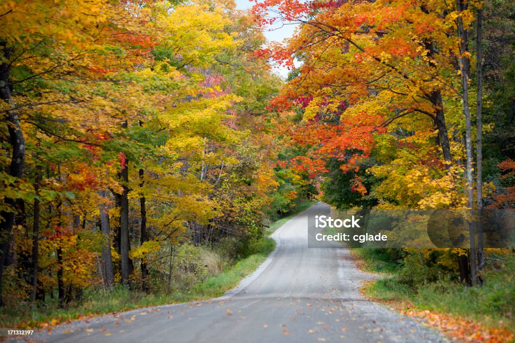 Strada di campagna e fogliame di autunno - Foto stock royalty-free di Autunno