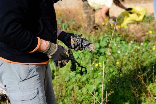 istock People collaborating in the cleaning of plastic garbage from the environment as abandoned bottles. 1713123163