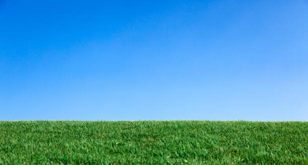 Grass hill perfect blue sky horizon