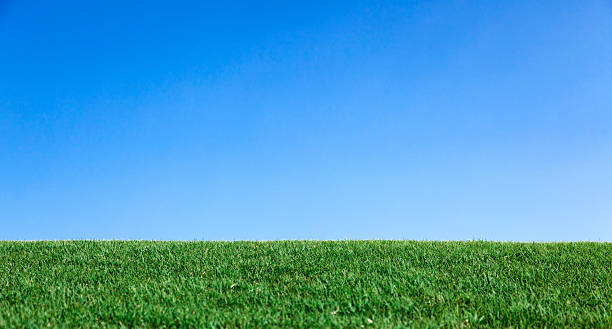 trawa wzgórz doskonały niebieski niebo horyzont - grass area grass summer horizon zdjęcia i obrazy z banku zdjęć