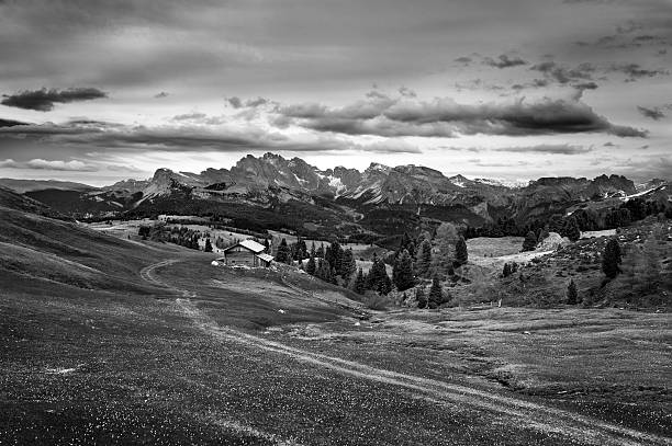 Country road in the Alps (Seiser Alm, Dolomites)