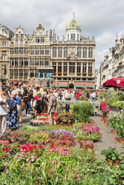 marché aux fleurs du grand-place de bruxelles - brussels belgium market flower market photos et images de collection