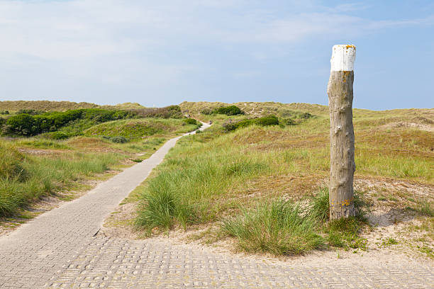 istock Way Through The Dunes, Norderney 171313185