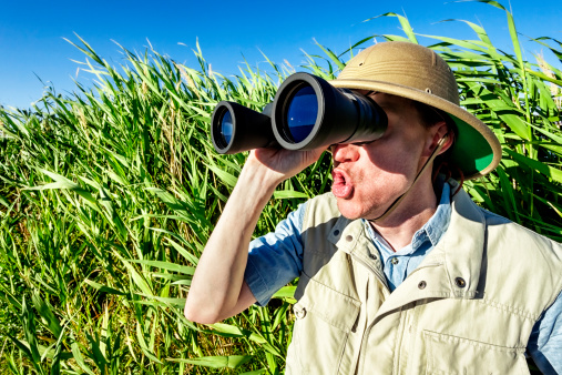 Photo of a bird watcher standing in tall grass, looking through binoculars with an amazed expression.