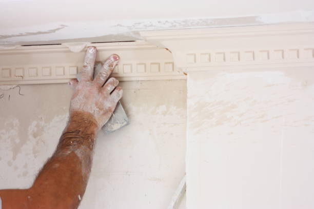 gesso que trabalham no cume de montanhas - plasterboard ceiling plaster molding - fotografias e filmes do acervo