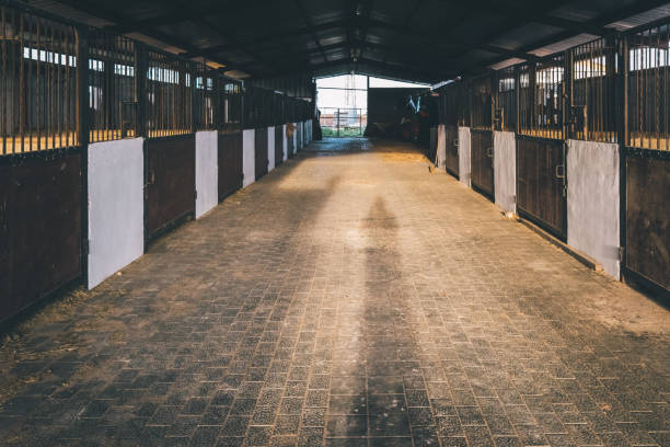 istock Old box for animals in an empty stable with bars and wooden doors for horses. 1713140170