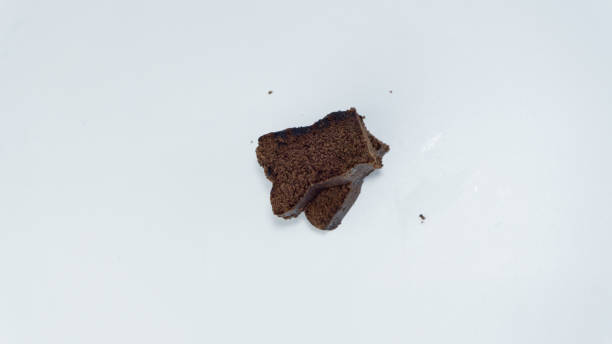 istock Chocolate brownie cake isolated on white background 1713142840
