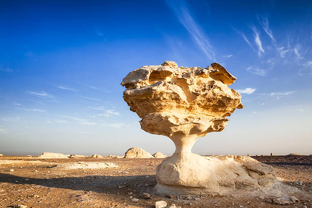 das mushroom weiße wüste - white desert stock-fotos und bilder