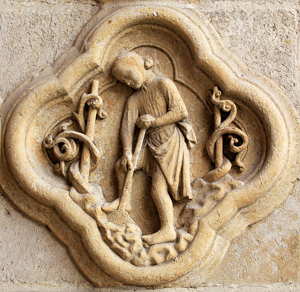 medallion vinhedo, a catedral de notre-dame de amiens, frança - picardy - fotografias e filmes do acervo