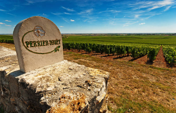 Perrier-Toy "Cramant, France - August 27, 2012: Perrier-Jouet sign in front of rows of Perrier-Jouet vines near Cramant. View is towards Avize." moet chandon stock pictures, royalty-free photos & images