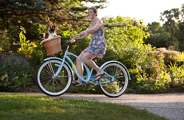 istock Dogs in Bike Basket 171315548