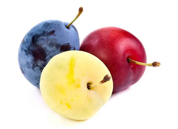 Green, red, and blue plums isolated on white background. Focus on foreground, shallow DOF.