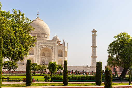 A side view of majestic Tajmahal, one of the world's seven wonders is viewed along with its minaret and lush green garden. A clear blue sky adds magnificence to the white marble of the beautiful architectural structure.