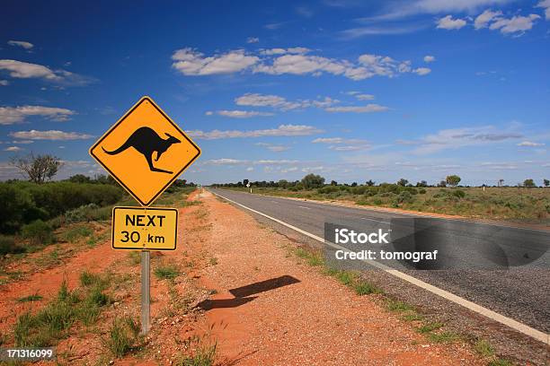 Stradale Di Canguro - Fotografie stock e altre immagini di Australia - Australia, Entroterra australiano, Segnale