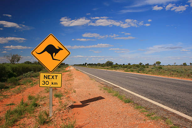 sinal de estrada kangaroo - kangaroo animal australia outback - fotografias e filmes do acervo