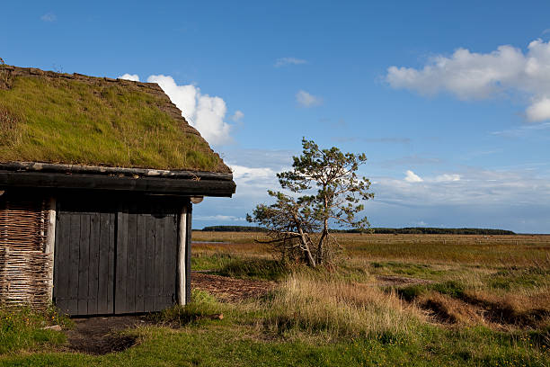 vista para a parte sul de læsø, dinamarca - denmark house cottage rural scene - fotografias e filmes do acervo