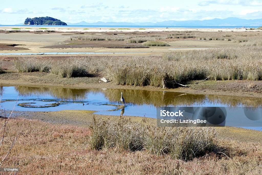 Marahau Wetlands, Abel Tasman, Nelson Region, New Zealand  Abel Tasman National Park Stock Photo