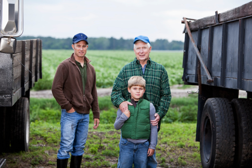 Portrait of three generations of men working on the family farm.  The three people, a little boy with his father and grandfather, are standing between two trucks, looking at the camera with serious expressions.  The grandfather is standing behind his grandson, who is holding his hand.  They are wearing jeans, caps and brown and green shirts and jackets.  In the background is a field of crops.