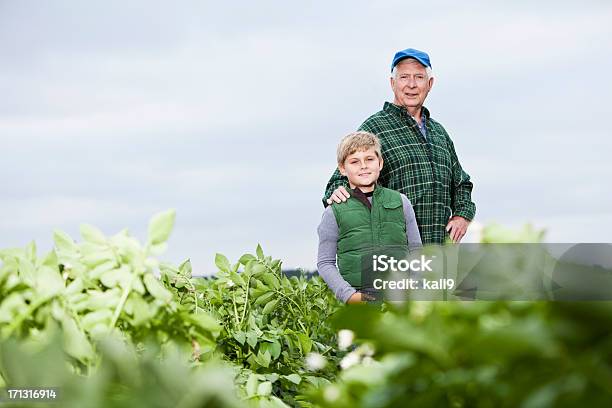 農家孫フィールド - 農業従事者のストックフォトや画像を多数ご用意 - 農業従事者, 孫息子, 家族