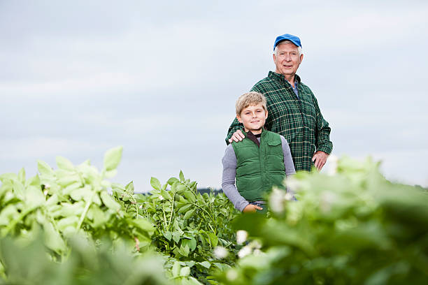 istock Farmer with grandson in field 171316914