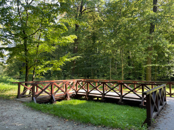 istock Scenic Path Through Green Woodland with Canal 1713170836