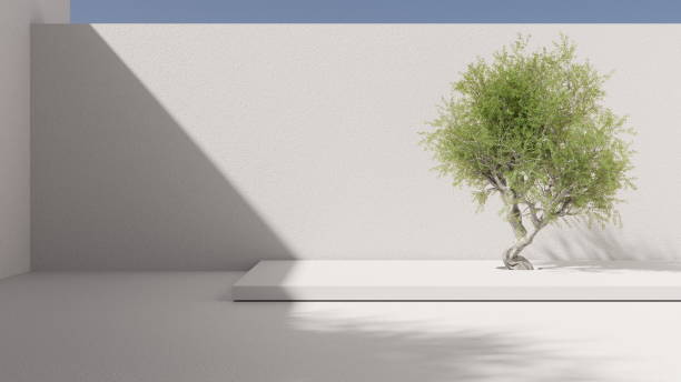istock Minimalism architecture tree in the courtyard surrounded by walls, blue sky. 3d render 1713171429