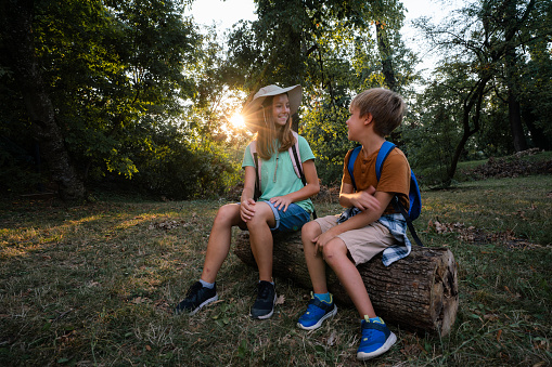 Happy boy and girl whit backpack sitting on a peace of wood and talking in the forest