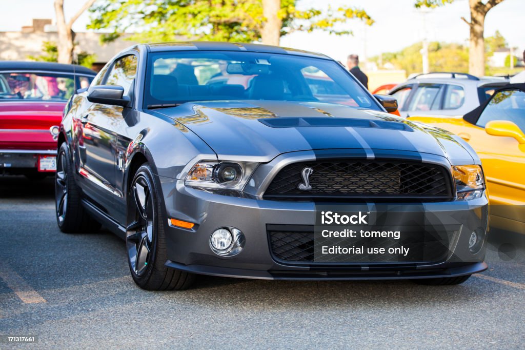 Ford Shelby GT500 - Foto stock royalty-free di Shelby - Marchio depositato