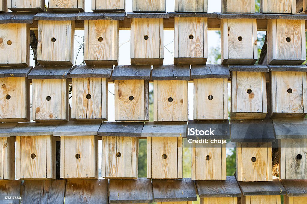 Birdhouses - Lizenzfrei Baumhaus Stock-Foto