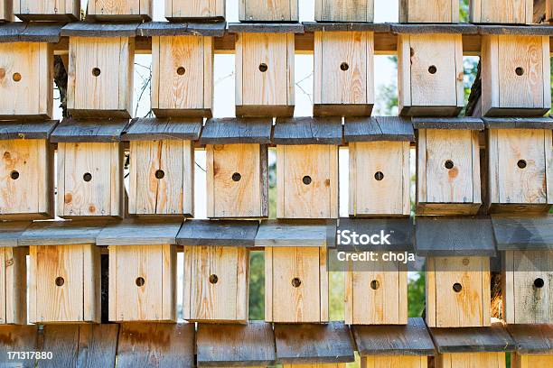 Birdhouses Stockfoto und mehr Bilder von Baumhaus - Baumhaus, Fotografie, Gestapelt
