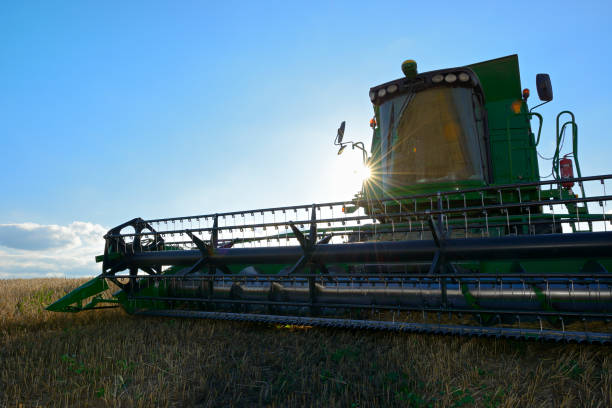 istock Combine Harvester in Barley Field during Harvest backlit by sun 171318747