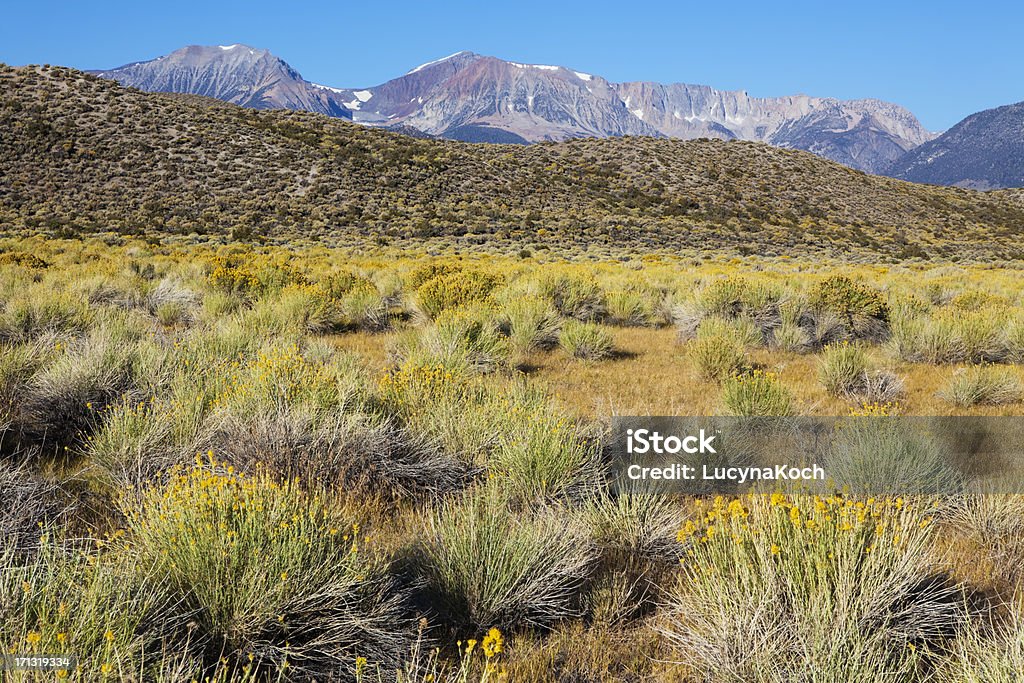 Desert-Landschaft - Lizenzfrei Amerikanische Sierra Nevada Stock-Foto