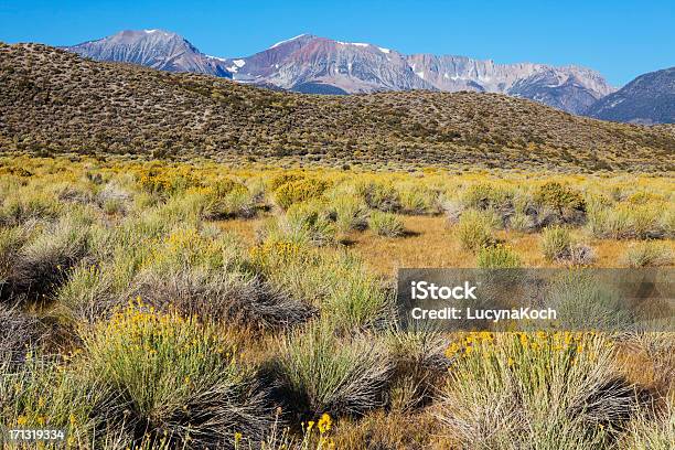 Desertlandschaft Stockfoto und mehr Bilder von Amerikanische Sierra Nevada - Amerikanische Sierra Nevada, Anhöhe, Ausgedörrt