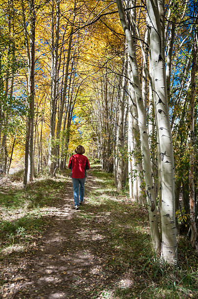 istock Woman on Aspen Lined Path in the Fall 171319548