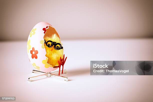 Chicken Entspannung In Ei Stuhlostern Humor Lustige Nerd Stockfoto und mehr Bilder von Ostern