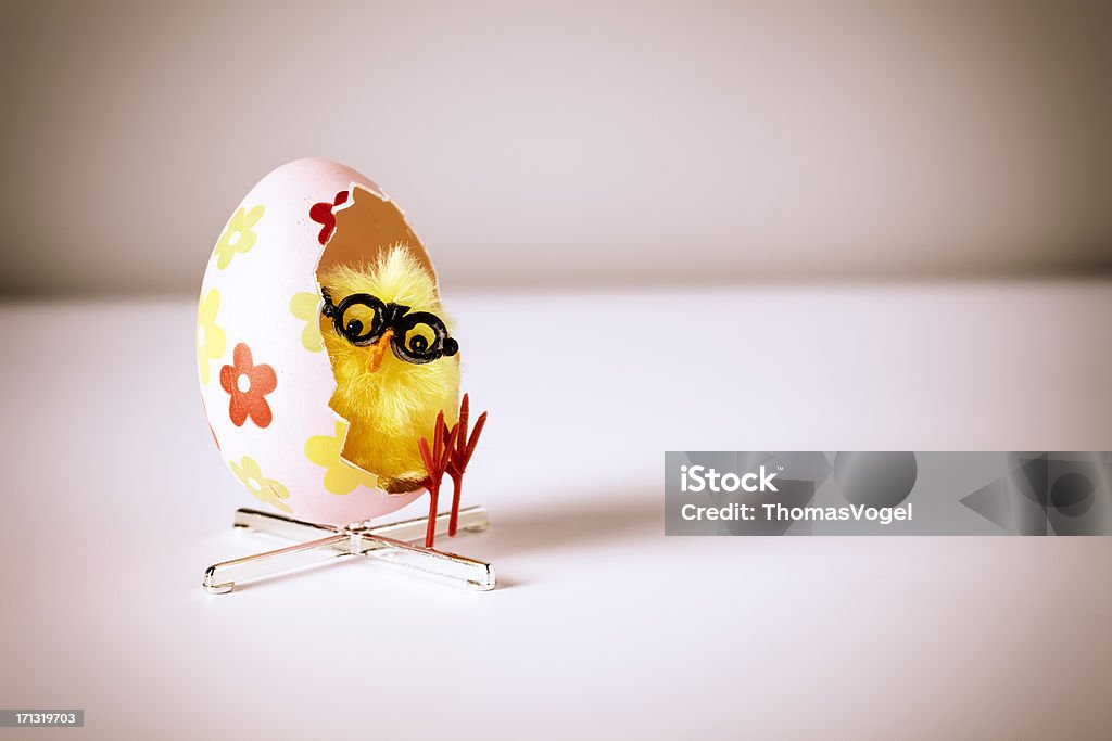 Pollo relajante en sillón-Nerd huevo de pascua Humor diversión - Foto de stock de Pascua libre de derechos