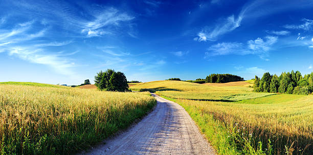 atardecer paisaje ondulado-carretera de tierra, praderas y los campos de trigo - single lane road road sky dirt road fotografías e imágenes de stock