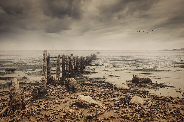 Quiet sea